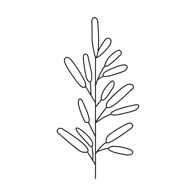 Illustrazione della pianta disegnata a mano
