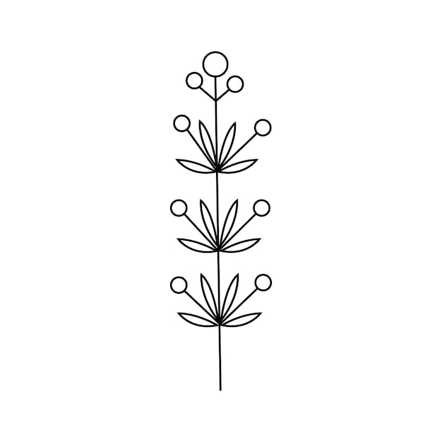 Hand drawn plant illustration