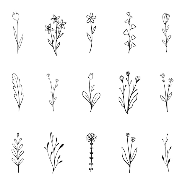 hand drawn plants botanical elements vector