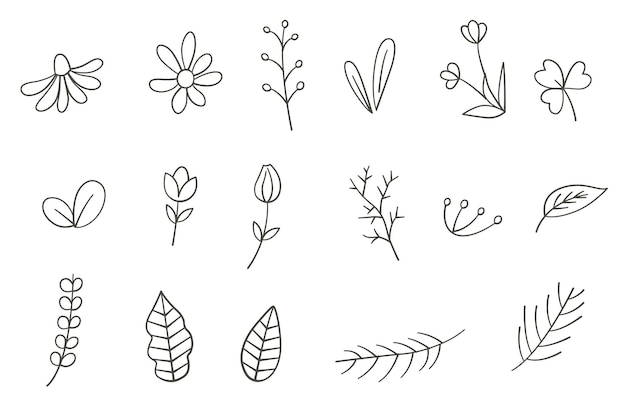 Hand drawn plants. Set of outline flower and leaves.