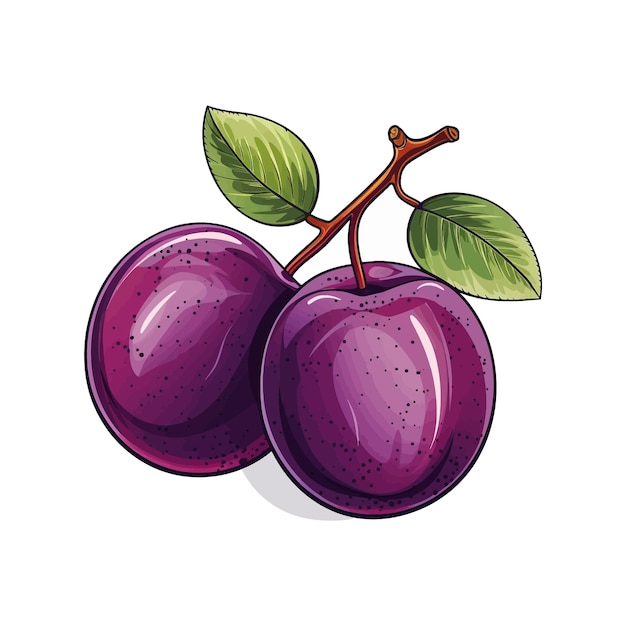 Sfondo bianco isolato di cartone animato plum vector disegnato a mano