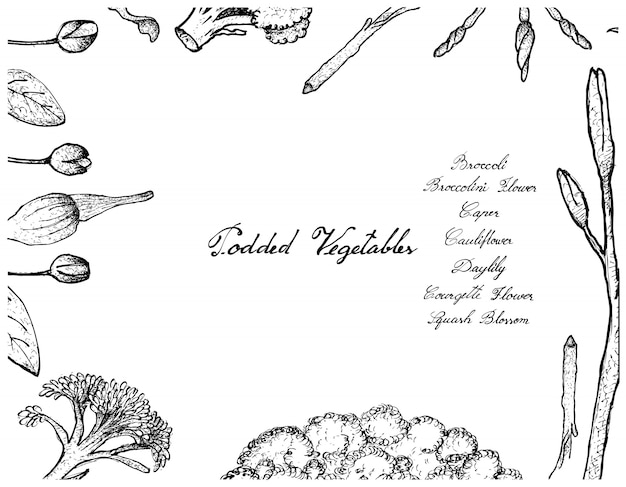 Vector hand drawn of podded vegetables frame