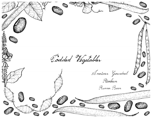 Hand Drawn of Podded Vegetables Frame 