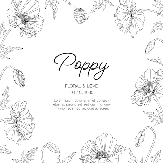 Hand drawn poppy floral greeting card illustration with line art on white backgrounds.