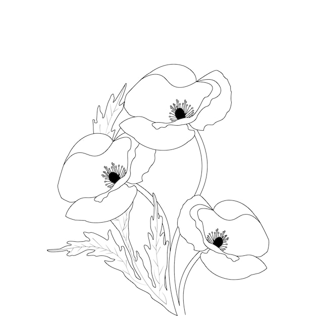 Vector hand drawn poppy flower outline illustration