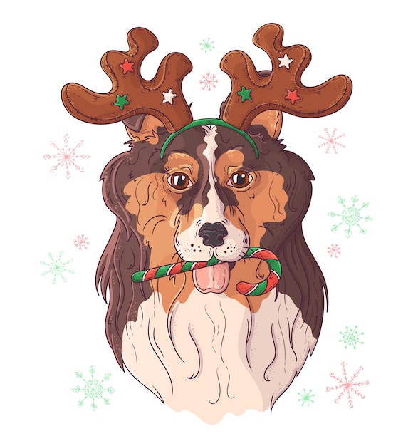 クリスマスアクセサリーのコリー犬の描かれた肖像画を手します。