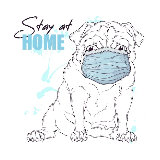 Hand drawn portrait of the pug dog  in a medical mask .