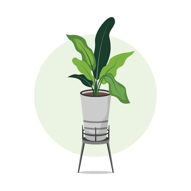 Hand drawn potted houseplant in flat illustration