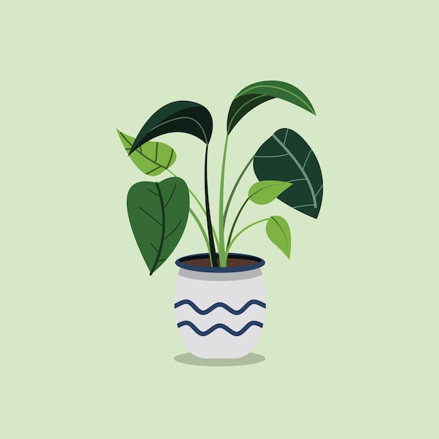 Vector hand drawn potted houseplant in flat illustration