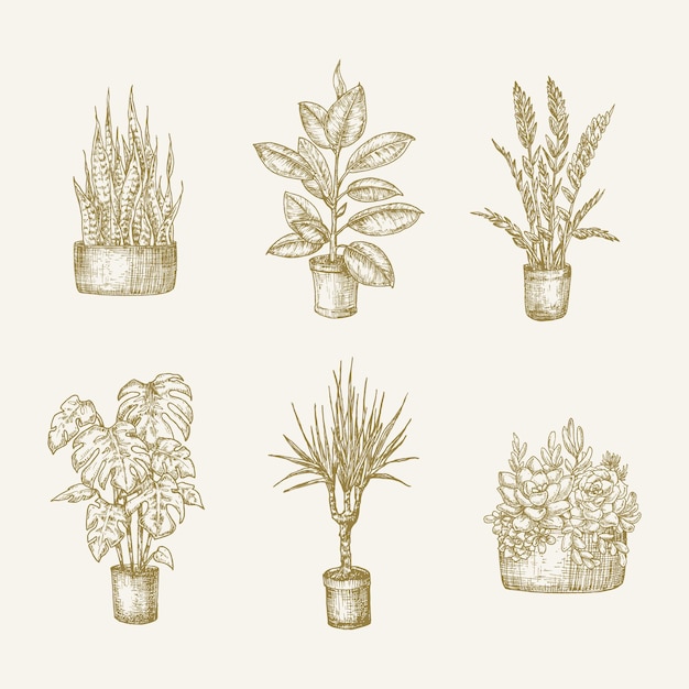 Vettore fiori di piante d'appartamento in vaso disegnati a mano con schizzi di foglie impostati illustrazioni di doodle di giardinaggio domestico c...