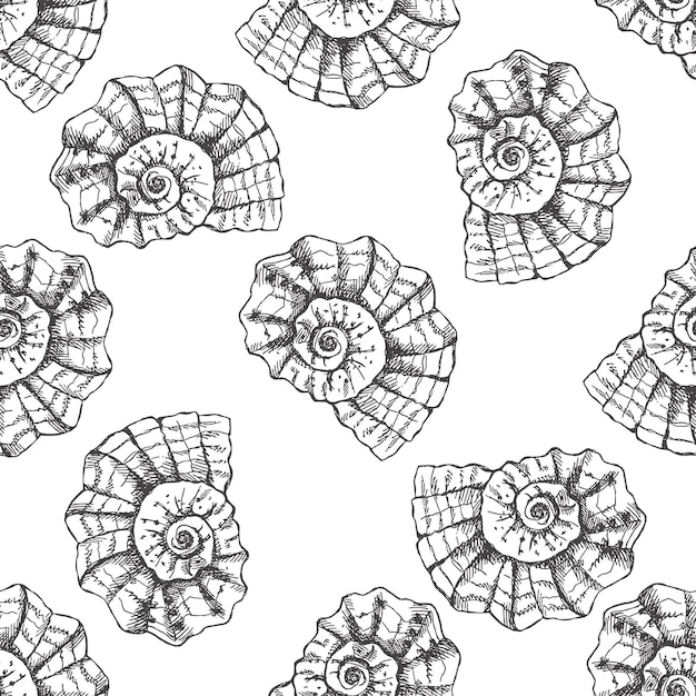 Hand drawn prehistoric ammonite seashell seamless pattern isolated on white background