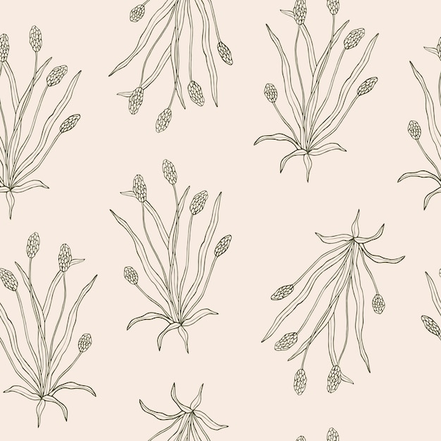 手描きオオバコ植物のシームレス パターン