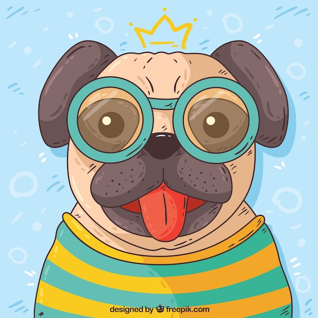 Vector hand drawn pug with glasses