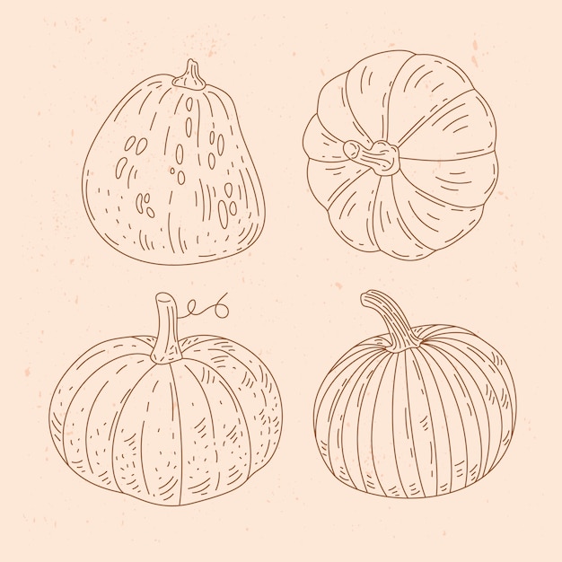 Vector hand drawn pumpkin drawing illustration