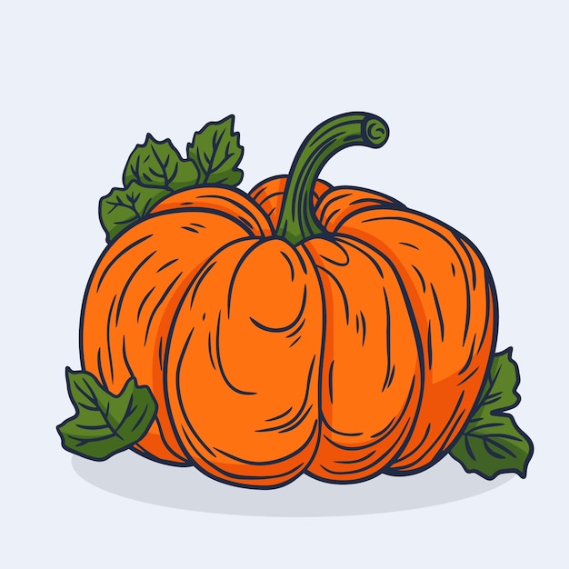 Vector hand drawn pumpkin drawing illustration