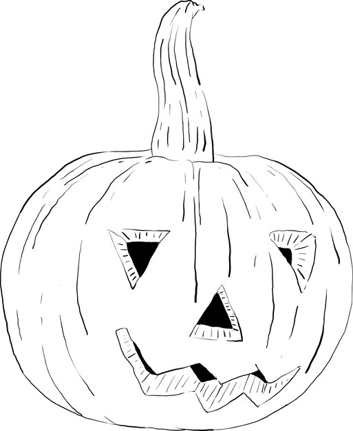 Zucca disegnata a mano in stile grafico per halloween 3