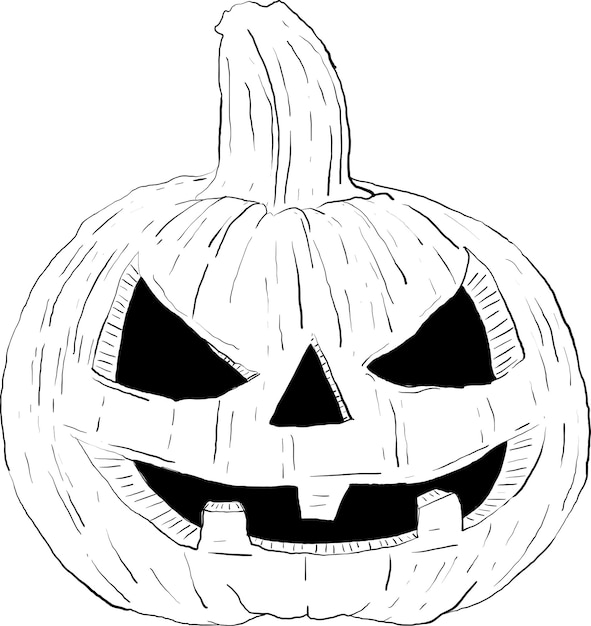 Zucca disegnata a mano in stile grafico per halloween 5