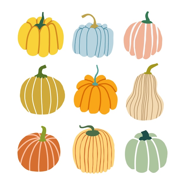 Vector hand drawn pumpkin illustration set