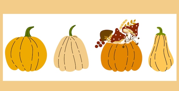 Hand drawn pumpkin set with leaves berries mushrooms Vector collection