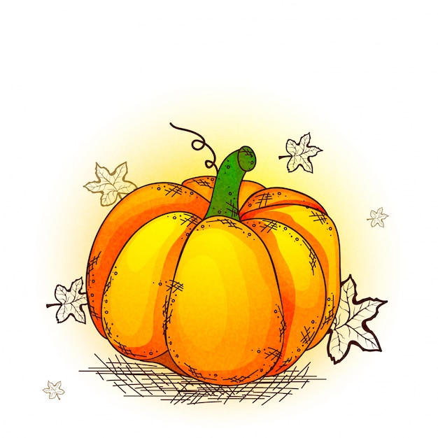 Zucca disegnata a mano per la celebrazione del giorno del ringraziamento.