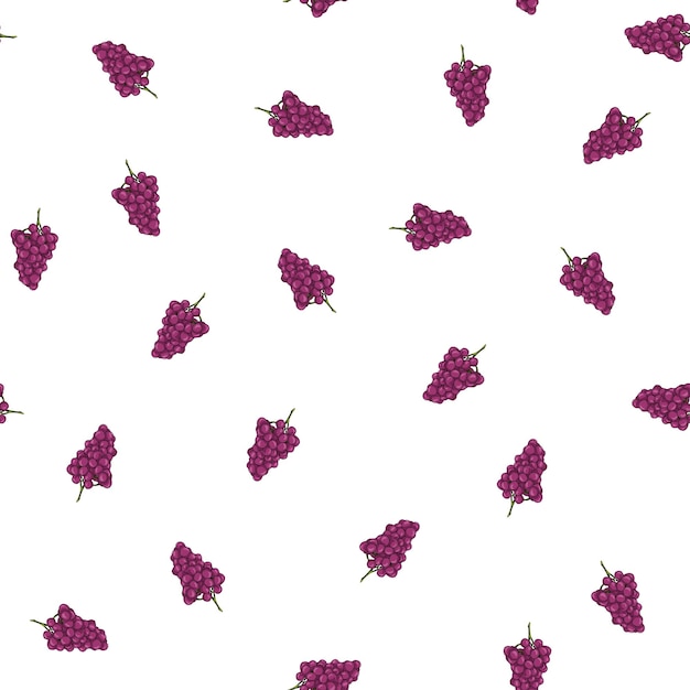 Hand drawn purple grapes seamless pattern on a white background