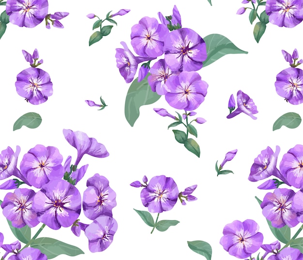 Vector hand drawn purple phlox pattern