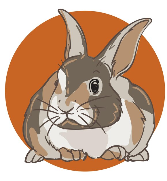 Vector hand drawn rabbit color vector illustration