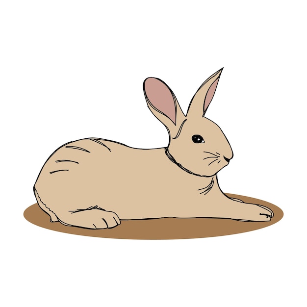 Рисованная иллюстрация кролика