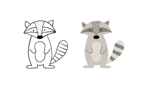 Vector hand-drawn raccoon. vector illustration. contour and color version.