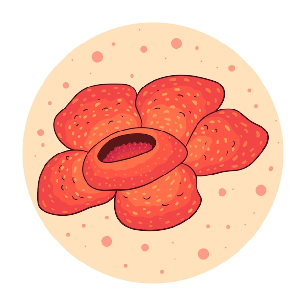 Hand drawn rafflesia arnoldii flower