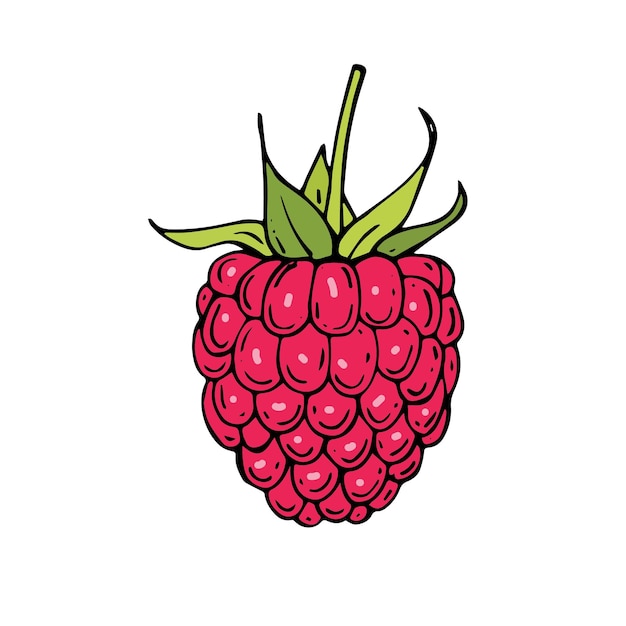 Hand drawn raspberries icon. Vector illustration