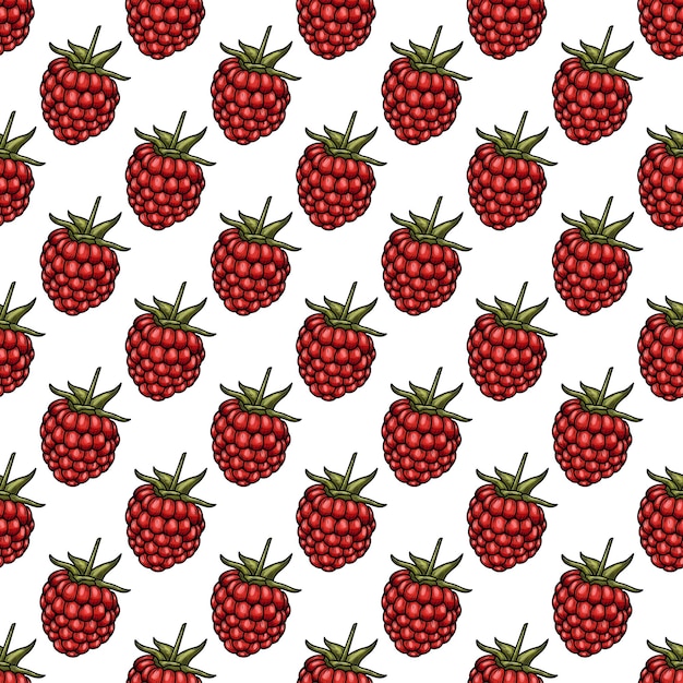 Hand drawn raspberry vector pattern.