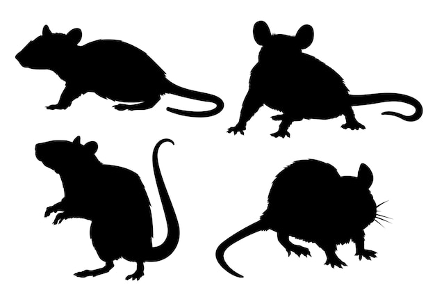 Vector hand drawn rat silhouette collection