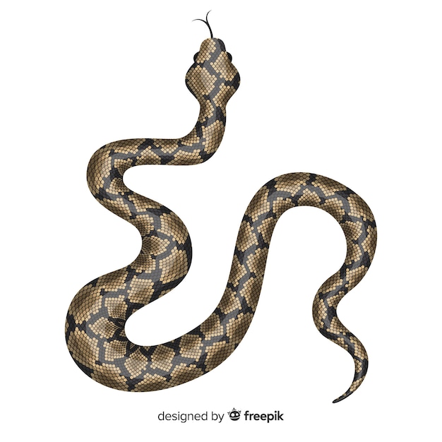 Vettore illustrazione di serpente realistico disegnato a mano