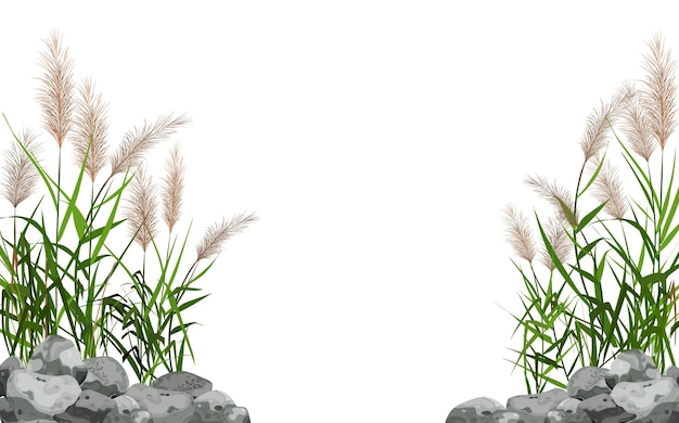 Вектор Ручной рисунок тростника или пампасной травы в окружении серых камнейтростниковый силуэт на белом фоне