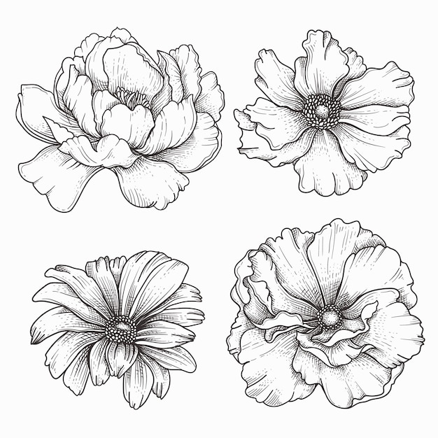 Hand drawn retro flowers design set