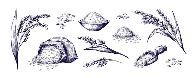 Ручной обращается рис органические хлопья в сумке и рисовая каша в миске эскиз каракули набор дикого жасмина