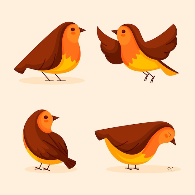 Vector hand drawn robin collection