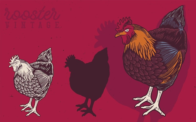 Hand drawn rooster and hen vintage illustration rooster produce label for business farm and manufacturing