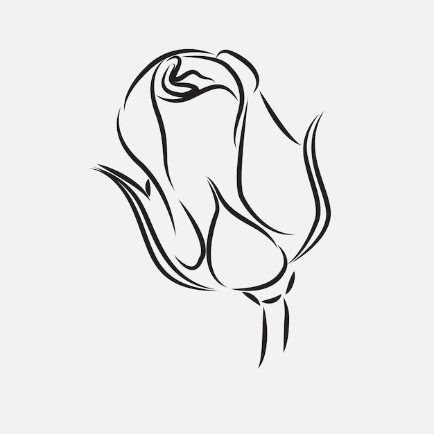 Hand drawn rose floral illustration