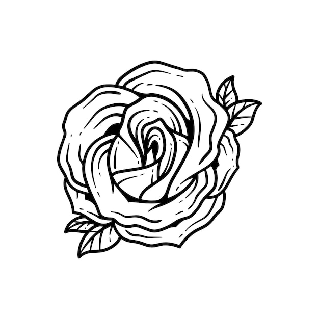 Vettore illustrazione rosa disegnata a mano icona vettore contorno fiore astratto