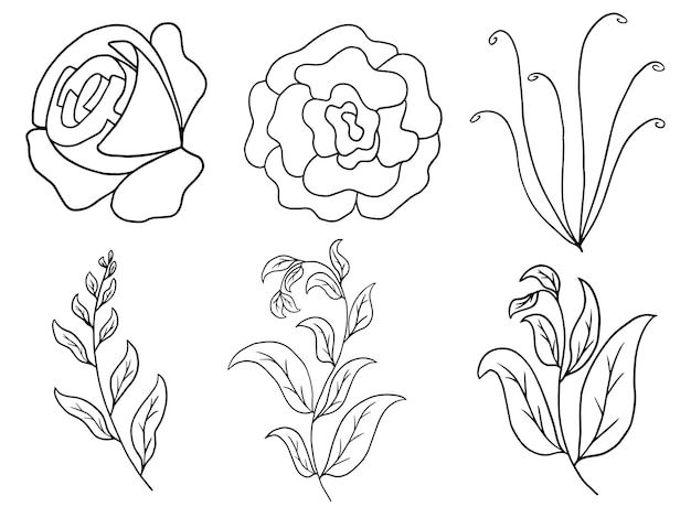 Hand drawn rose and leaves floral line art