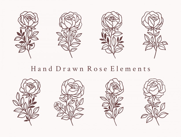 Vector hand drawn rose logo elements