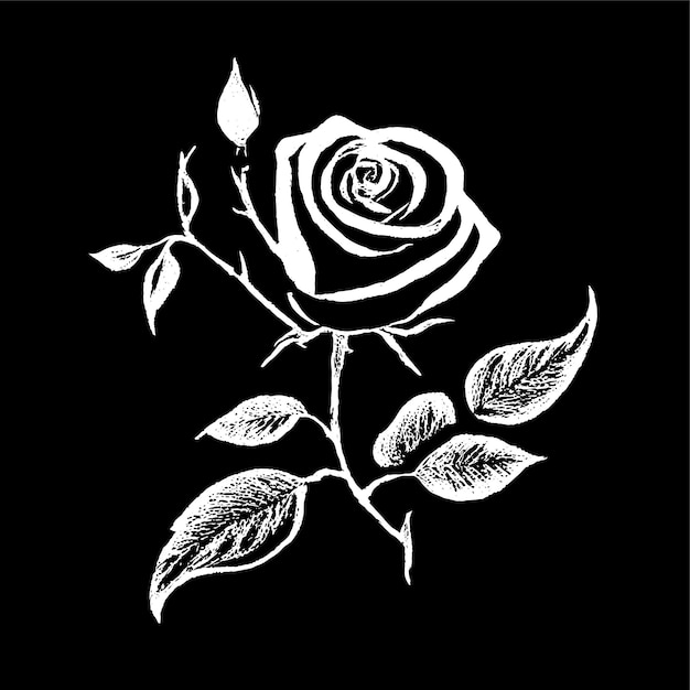 hand drawn rose silhouette