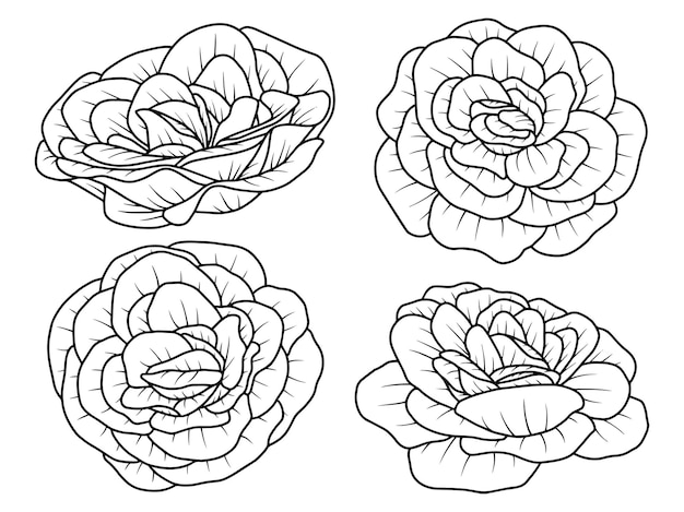 Нарисованная рукой иллюстрация искусства линии эскиза розы