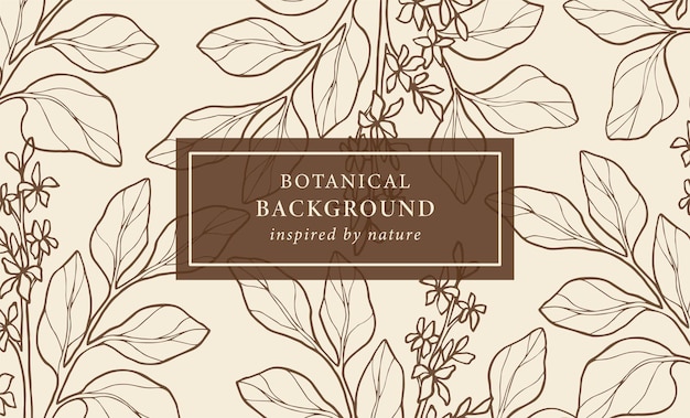 Hand drawn rosewood branch background