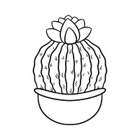 Hand drawn round flowering cactus in pot