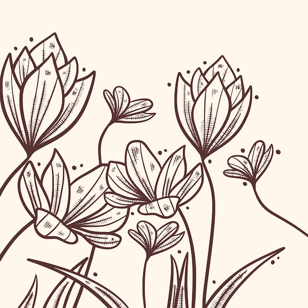 ベクトル 手描きのサフランの花のイラスト