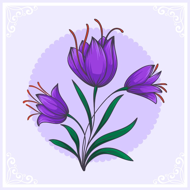 hand drawn saffron illustration