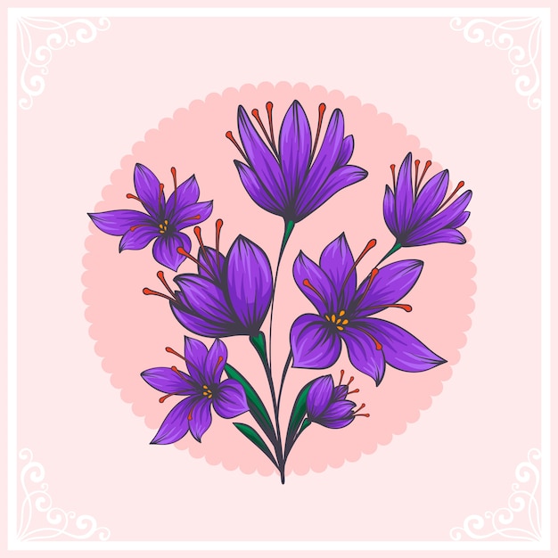 hand drawn saffron illustration